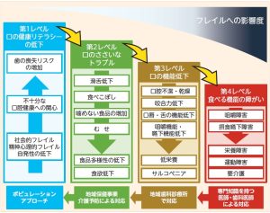 オーラルフレイルと口腔機能低下症